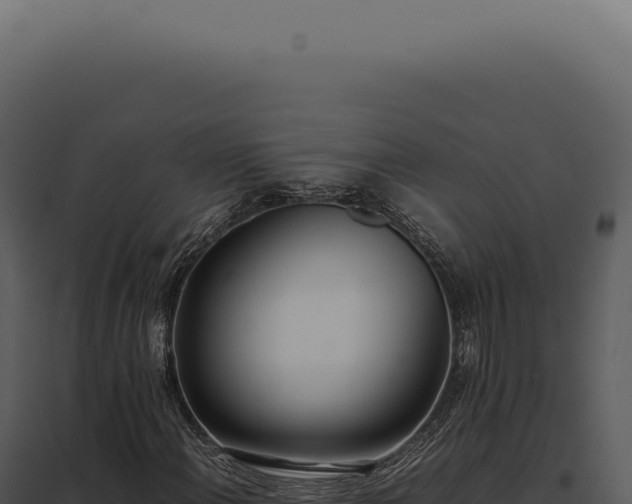 X0000097981108200804011738