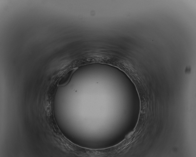 X0000097981109200804011738