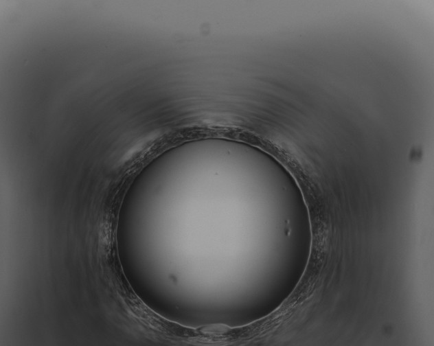 X0000097981110200804011738