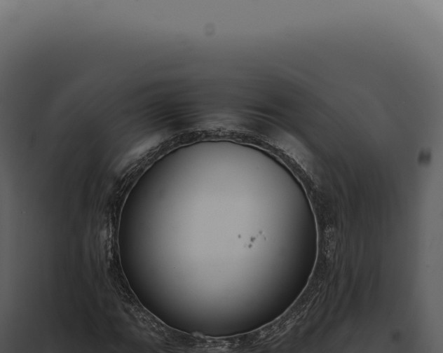 X0000097981111200804011738
