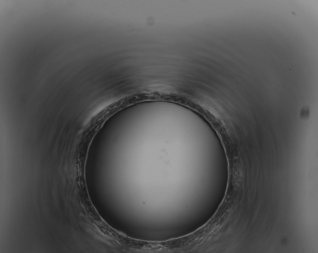 X0000097981112200804011738