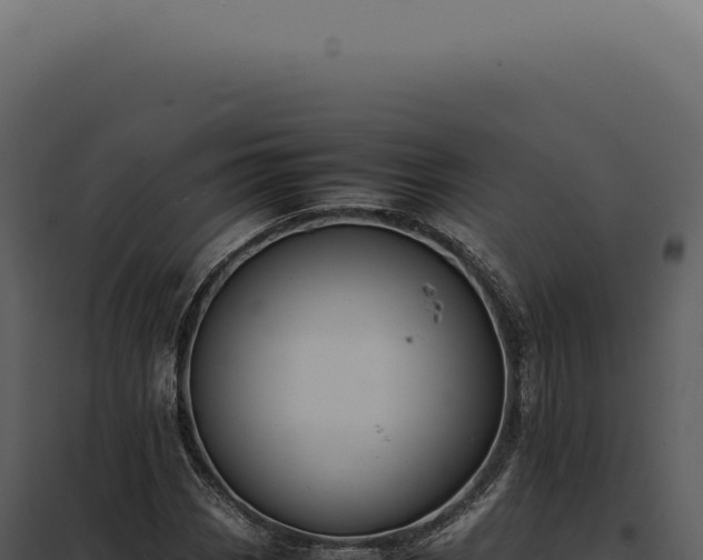 X0000097981113200804011738