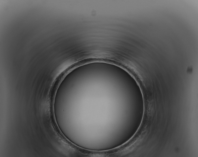 X0000097981114200804011738