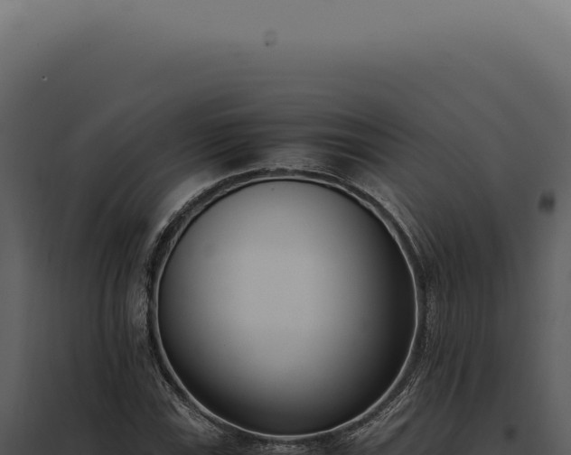 X0000097981115200804011738