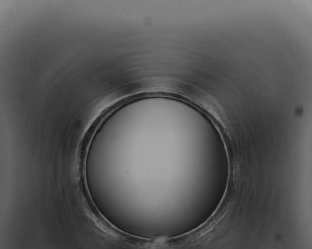 X0000097981116200804011738