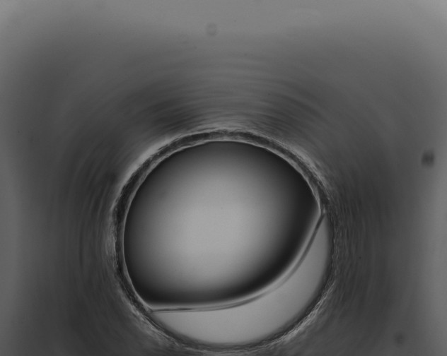 X0000097981118200804011738