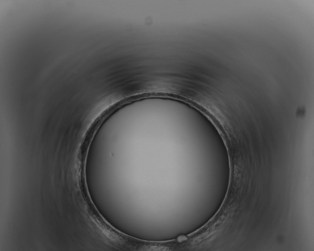 X0000097981119200804011738
