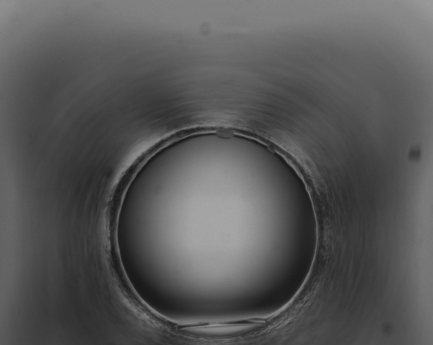 X0000097981120200804011738