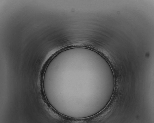 X0000097981122200804011738