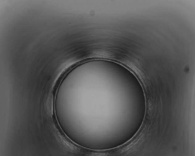 X0000097981123200804011738