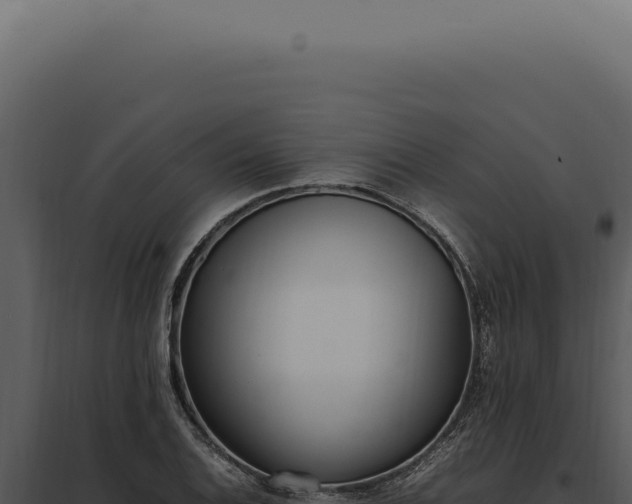 X0000097981124200804011738