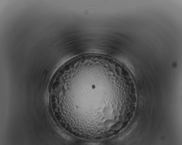 X0000097981125200804011738