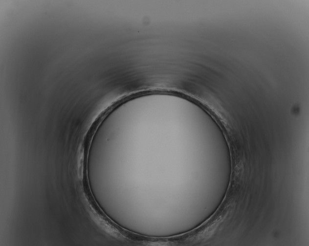X0000097981126200804011738