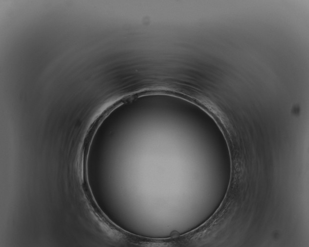 X0000097981127200804011738