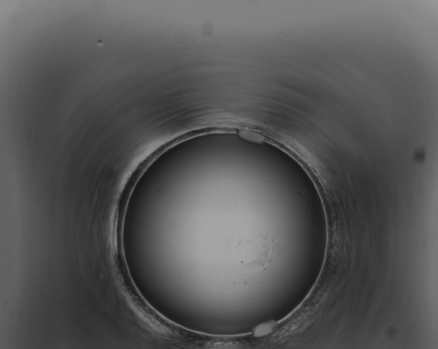 X0000097981128200804011738