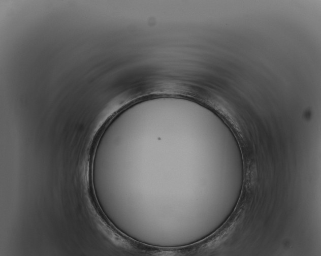 X0000097981130200804011738