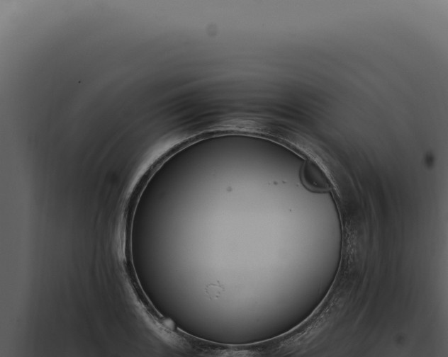 X0000097981131200804011738