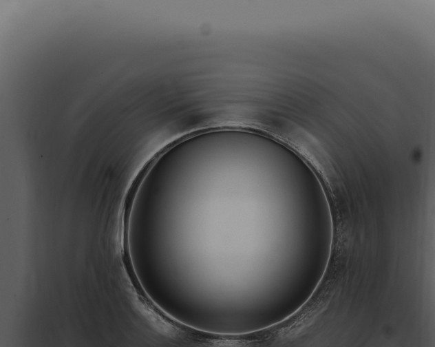 X0000097981132200804011738