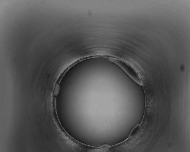 X0000097981134200804011738
