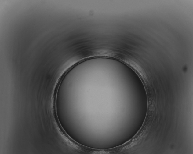 X0000097981135200804011738