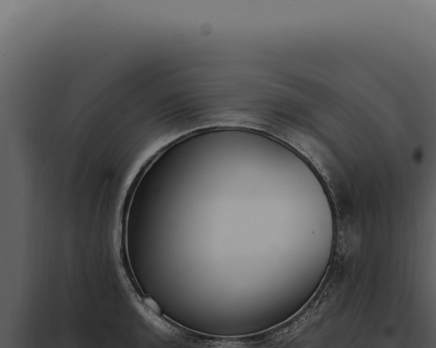 X0000097981136200804011738
