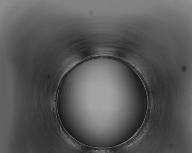 X0000097981137200804011738