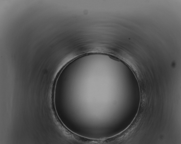 X0000097981138200804011738