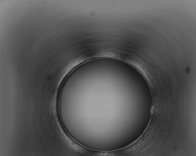X0000097981139200804011738