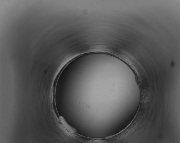 X0000097981140200804011738
