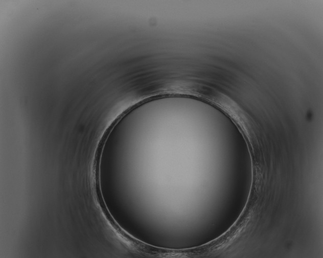 X0000097981141200804011738
