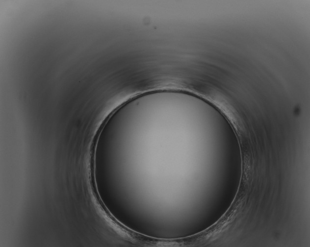 X0000097981142200804011738