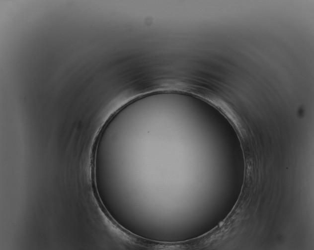 X0000097981143200804011738