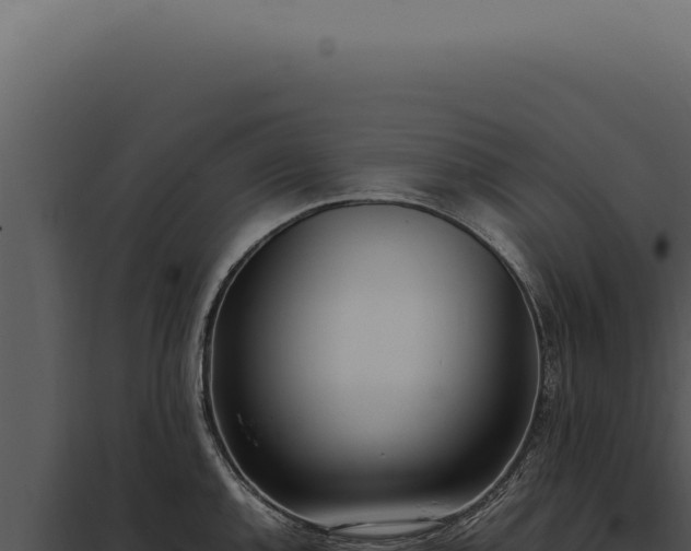 X0000097981144200804011739