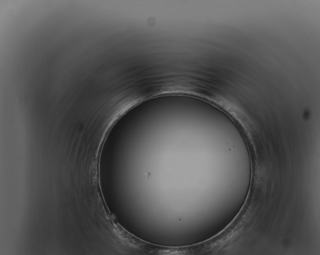 X0000097981145200804011739