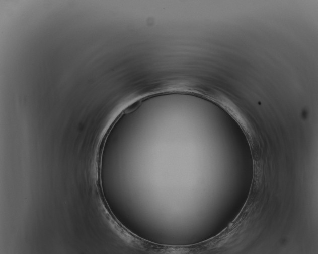 X0000097981148200804011739