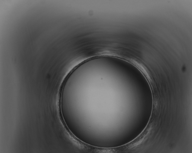 X0000097981149200804011739