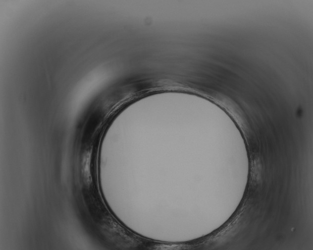 X0000097981150200804011739