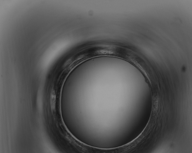 X0000097981151200804011739