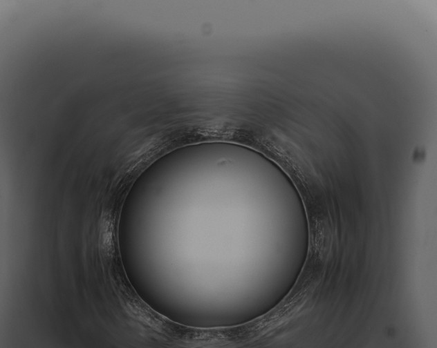 X0000097981154200804011738
