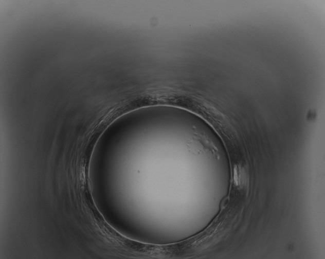X0000097981155200804011738