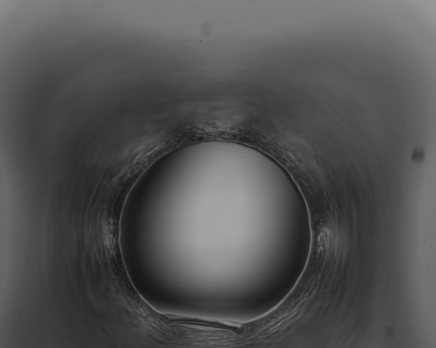 X0000097981156200804011738