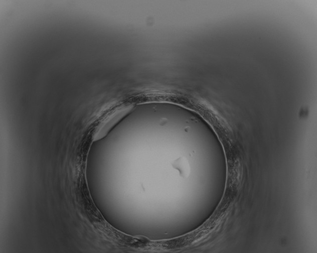 X0000097981157200804011738