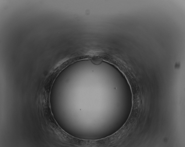 X0000097981158200804011738
