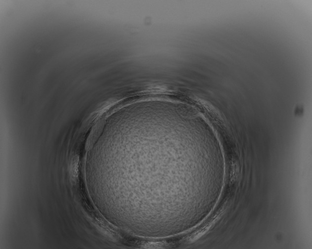 X0000097981161200804011738