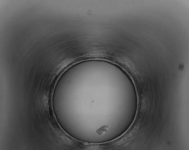 X0000097981162200804011738