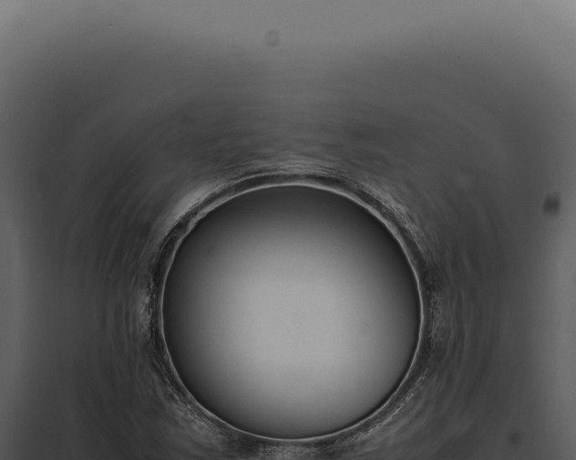 X0000097981163200804011738