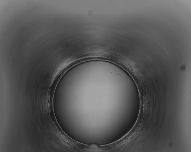 X0000097981164200804011738