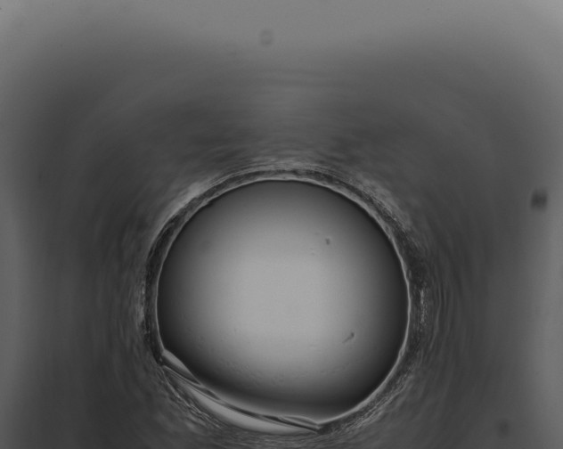 X0000097981165200804011738