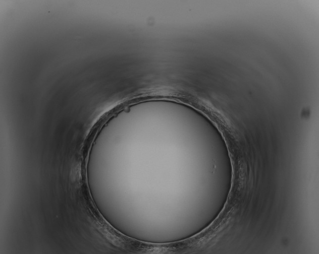 X0000097981166200804011738