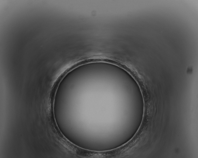 X0000097981167200804011738